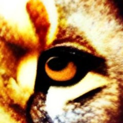 The Golden Lion