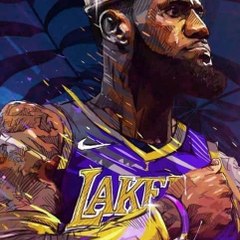 MVP 81