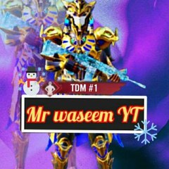 Mr waseem YT