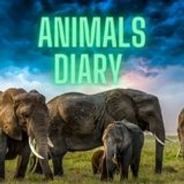 ANIMALS DIARY
