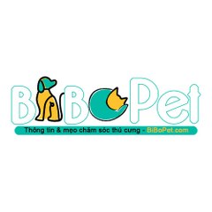 Bibopet - Chăm sóc thú cưng
