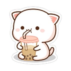 nini nini