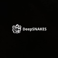 DeepSNAKES