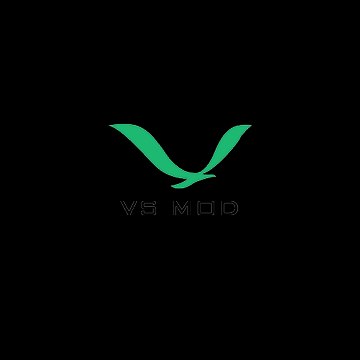 VSMODS