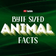 Byte Sized Animal Facts