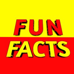 FUN & FACTS