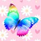 QQ_Toons_JJ Pastel Butterfly