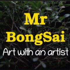 Mr BongSai