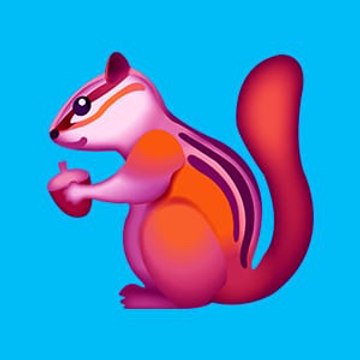 l’écureuil  curieux