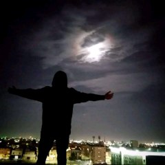 CrazyBOB