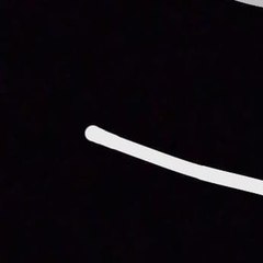 Wzxxxx_