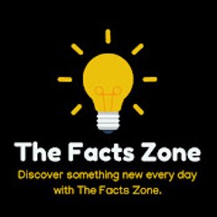 The Facts Zone
