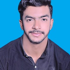 Mr Ansari