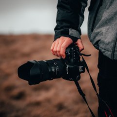Pexels Videos