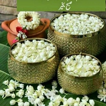 Rahatnaseem