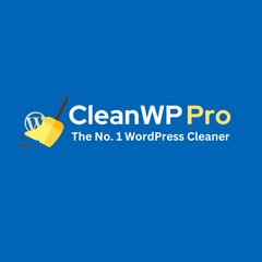 CleanWP Pro