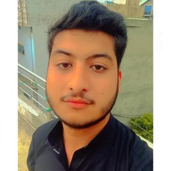 Hamza ShafiQue Ahmed
