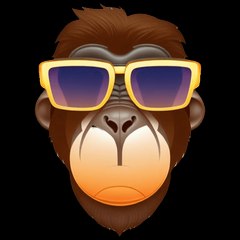 Pets Monkey Animals