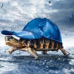 Despacito y Contento