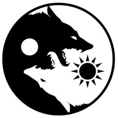 A-Donghua