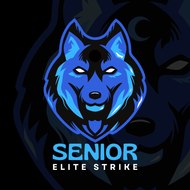 Senior Elite Strike