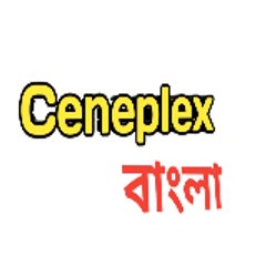 Bengali Movie Creation