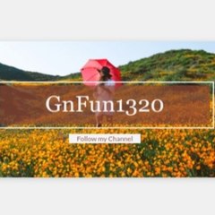 GnFun1320