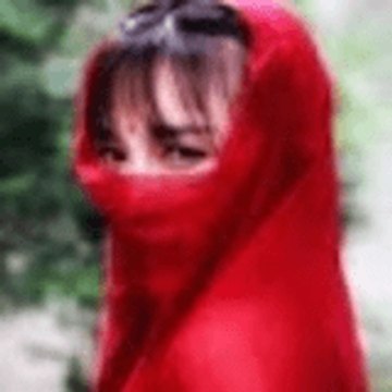 Liziqi Vlogs