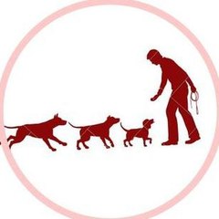doggworlds.info
