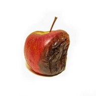 Rotten Apple