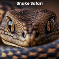 Snake Safari
