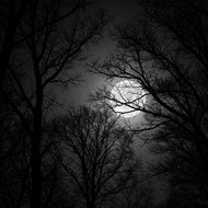 Dark sounds fun ☺😊