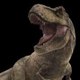 Rexy JW