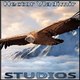 Hector Vladimir Studios
