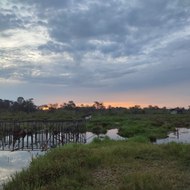 SAPAR CHANNEL OFFICIAL