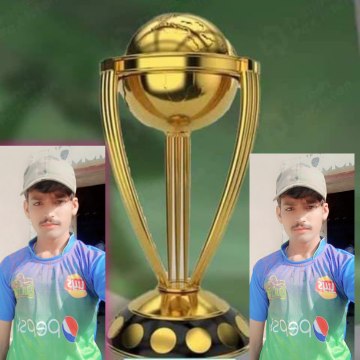 F Sports Cricket