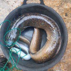 Fishing Tradisional Petualang