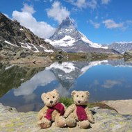 Kiki Koko Travelling Bears