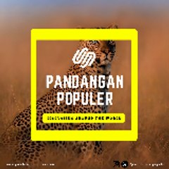 Pandangan Populer