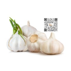 Garlic Paradise