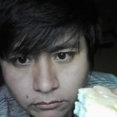 dandigamess