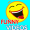 Funny Videos