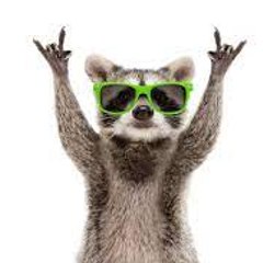 Funy Animal