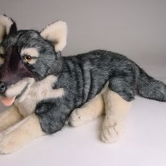 Trainman 721s Personal Camera Videos