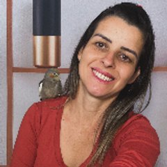 Fagundes Séries