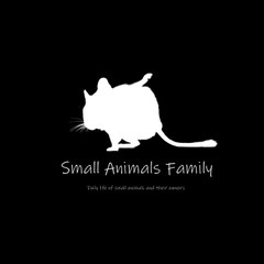 Small Animals Family