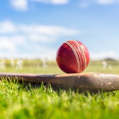 Cricket flashes
