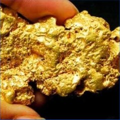 Extraction of gold and precious metals
