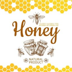 The world of bees  and their secrets
