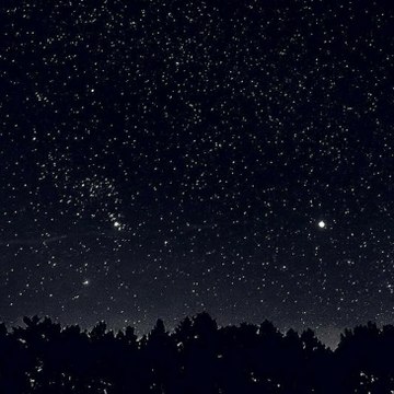 Night gems